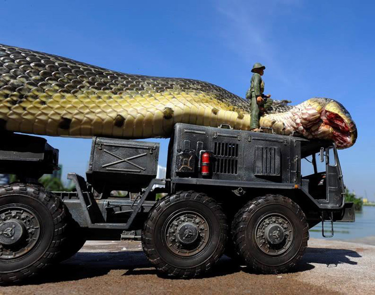 The World’s Largest Snake: A 48-Foot Marvel
